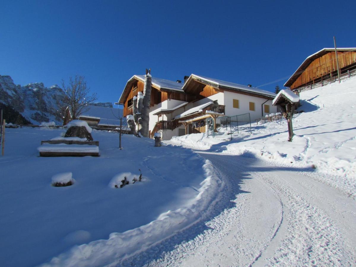 Agriturismo Luech De Vanc San Martino in Badia Dış mekan fotoğraf